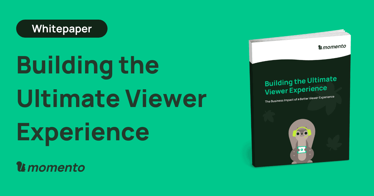 Building the ultimate viewer experience whitepaper banner image