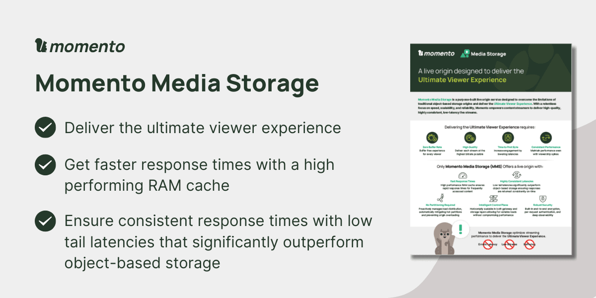 Momento Media Storage solution brief banner image