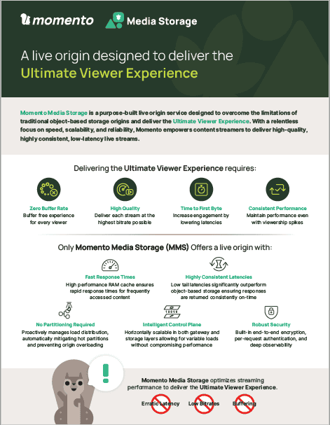 Momento Media Storage solution brief screenshot